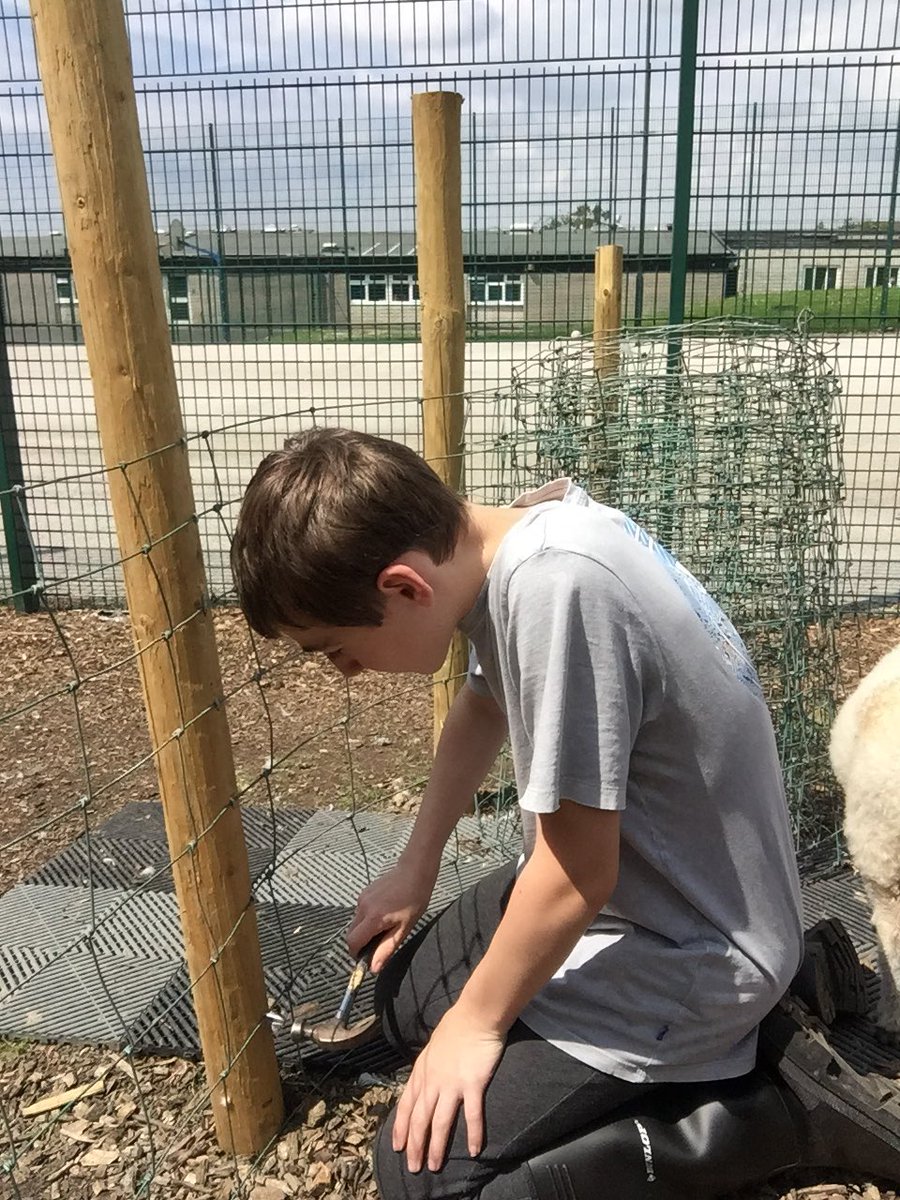 Livvi_Fay's tweet photo. The boys doing some maintenance work today. #schoolfarm #farmlife #LPTF @bolton_pru @LeverParkSchool https://t.co/SYy5EKd6zu