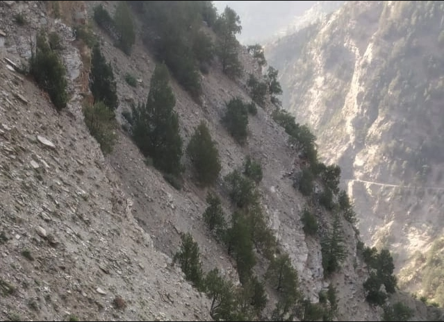himalcollective's tweet photo. The local people in #Kinnaur, #HimachalPradesh are protesting against approvals given to new #hydro projects, which they fear will destroy the chilgoza #trees, an important cash #crop in the region.

https://t.co/WVRJ862Ltq https://t.co/B2bm6ggOSG