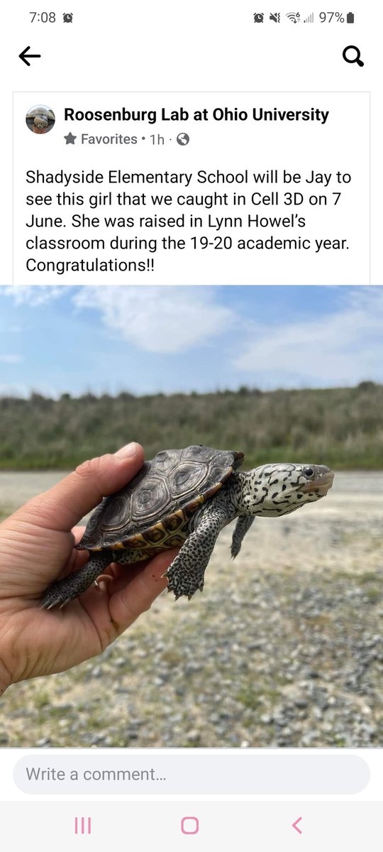 LZH53's tweet photo. Bubbles is thriving in her natural habitat! @ShadySideAACPS https://t.co/ajTNAOUnz5