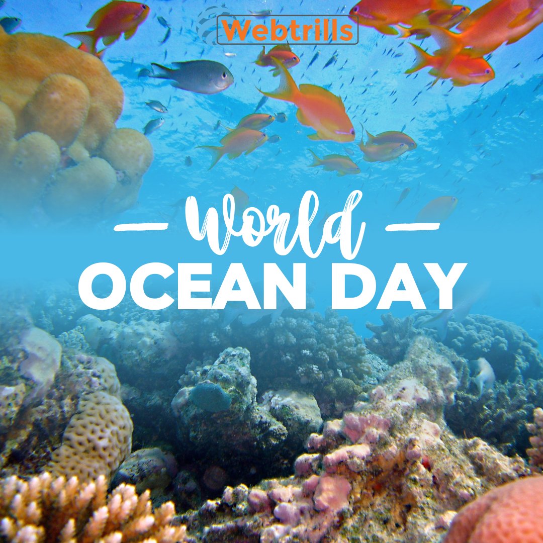 webtrillsdotcom's tweet photo. HAPPY WORLD OCEAN DAY🌊💙🌊
KEEP OUR OCEAN CLEAN
.
https://t.co/p4TsfFsSnt
.
#webtrills #worldoceansday #happyworldoceansday #oceanlover #oceanconservation #keepoceansclean #underwaterlife #ocean #oceans #oceanwater #oceanlife https://t.co/kqxi8sCJNW