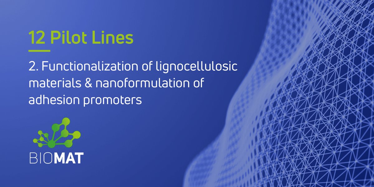 BIOMAT_Project's tweet photo. Get to know BIOMAT's #PilotLines!
It provides 12 Technical Services, and among them is the functionalisation of #lignocellulosic materials from agro-based sources and #nanoformulation of adhesion promoters, for insulation foams and sandwich structures.
https://t.co/YMNCXkiJRV https://t.co/HMTcyaS6jo