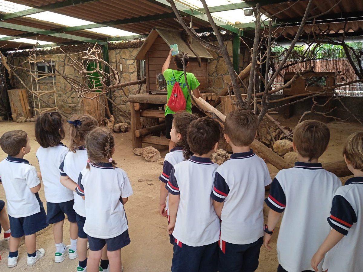 CSAinfantil tweet media