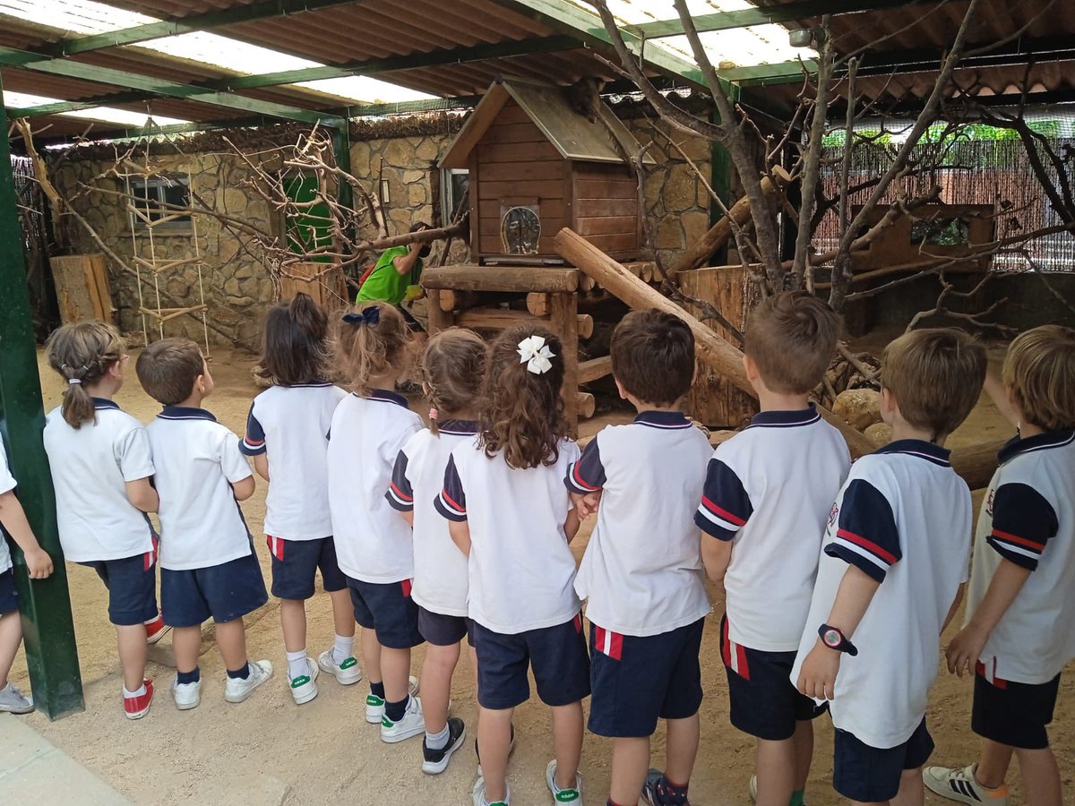 CSAinfantil tweet media