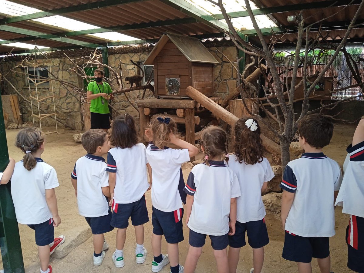 CSAinfantil tweet media