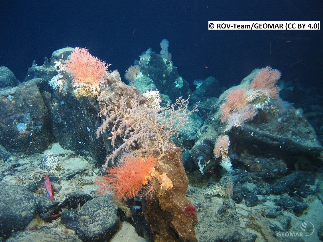 iAtlanticEU (@iatlanticeu) on Twitter photo Enjoy #WorldOceanDay2022! Did you know that the #CaboVerde archipelago is a very complex #oceanographic area? <a href="/iAtlanticEU/">iAtlanticEU</a> has travelled there to study the last millennia of #environmental change. More in our upcoming newsletter! Enjoy #WorldOceanDay2022! Did you know that the #CaboVerde archipelago is a very complex #oceanographic area? <a href="/iAtlanticEU/">iAtlanticEU</a> has travelled there to study the last millennia of #environmental change. More in our upcoming newsletter!