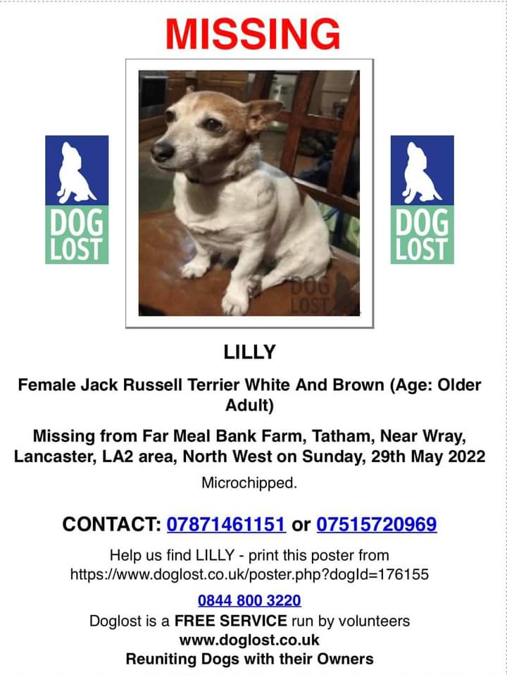 joannew0112's tweet photo. Pls rt and help find Lilly she has been #Missing since Sunday 29th May from #Tatham, Near Wray, #Lancaster.
If you have any information, please contact her owners on the numbers below ❤️ #findlilly
https://t.co/jeWW1dWHnG https://t.co/d0qBW30fBN