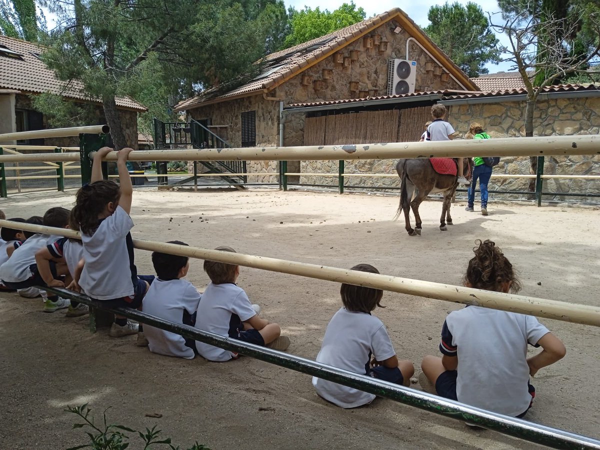 CSAinfantil tweet media