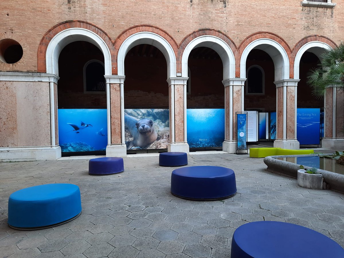 visitmuve_it's tweet photo. La presidente MUVE @mcgribaudi parla dell'importanza della cultura partecipativa che è uno dei compiti della Fondazione Musei Civici. Ogni piccolo passo serve a dare un aiuto alle nuove generazioni, per attuare un cambiamento di abitudini. https://t.co/U7vNw7HOy4