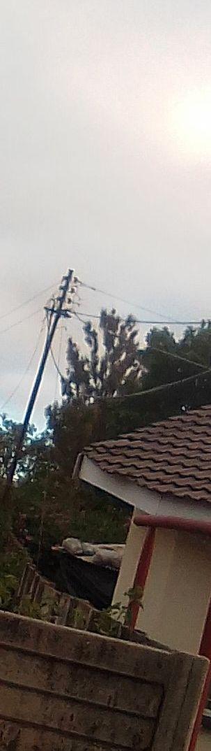 If electricity cables are stolen in student residential homes.
Is it the duty of the students or of the landlord to provide money for restoration of the cables
<a href="/andile_tshuma/">Andile Tshuma</a>