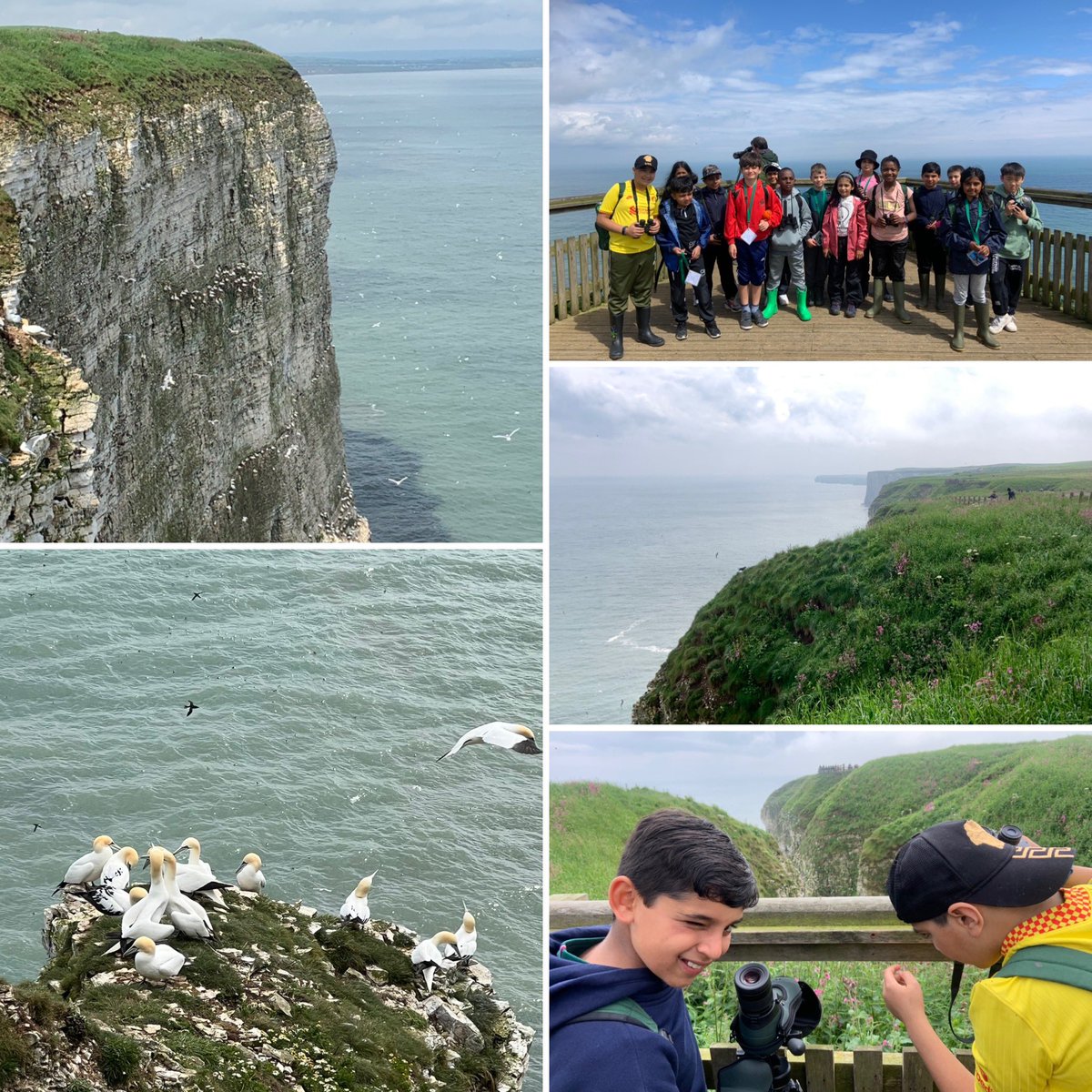 Mr_dewhirst's tweet image. More from @Bempton_Cliffs @CranedaleCentre @HallfieldSchool #NationalFieldworkWeek 😀⭐️☀️🌏😀