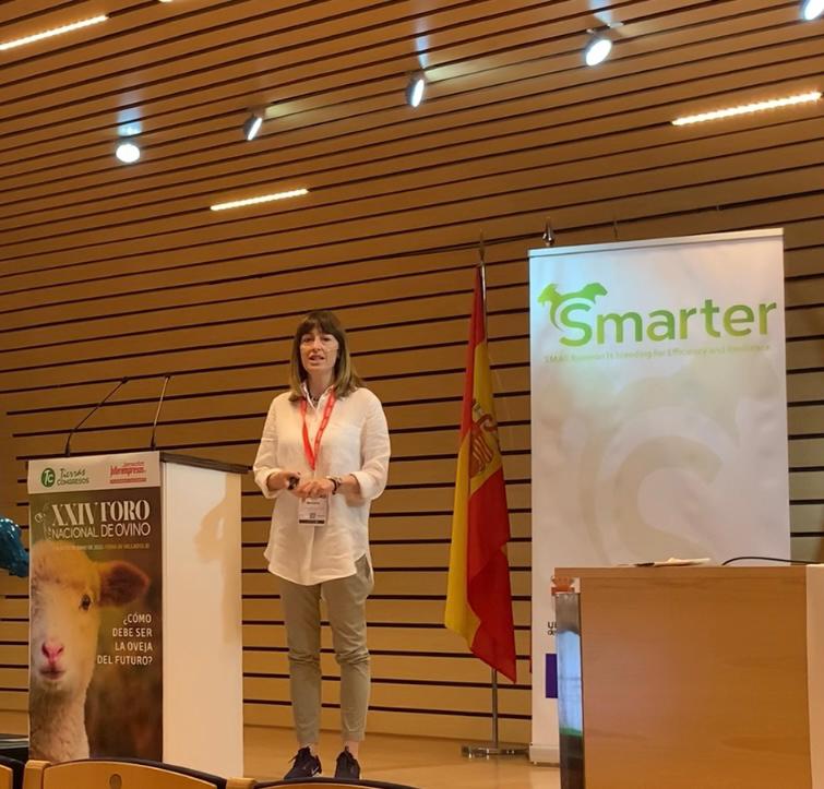 MEGA_ULE's tweet photo. Dentro del Seminario @SmarterprojectE en el XXIV @ForoOvino, #PilardeFrutos, de @Igm_Leon, y @Aroasv, de @MEGA_ULE, han ofrecido presentaciones de gran actualidad sobre #eficiencia y #resiliencia Hacia la #oveja del #futuro.  @FacVetLeon @ASSAFESPAA @RazaChurra @lechedeoveja https://t.co/zTeQckcCaV