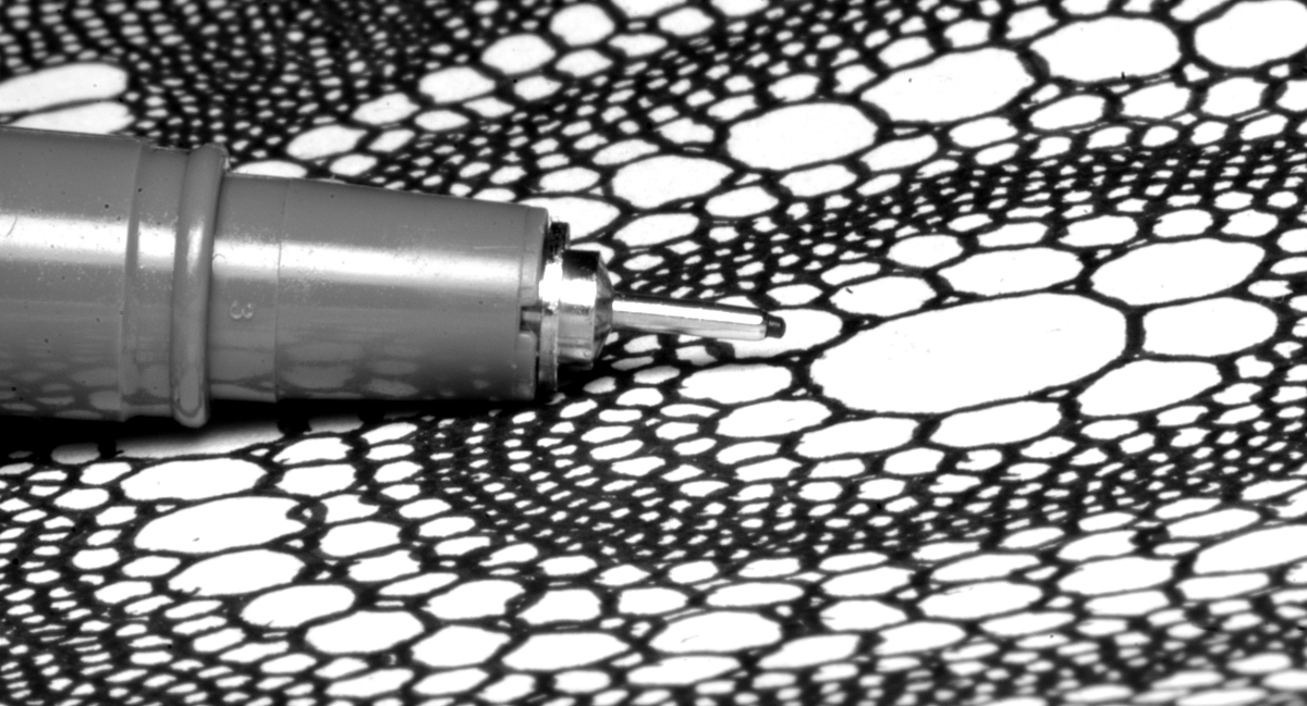 Eric_Gitonga_'s tweet photo. 0.4, 0.1 (first image) and 0.3 (second image) @Artline_EU pens.

#ArtLineWorld #Doodling #PenAndnk #Maximalism https://t.co/cPBmKI6dRW