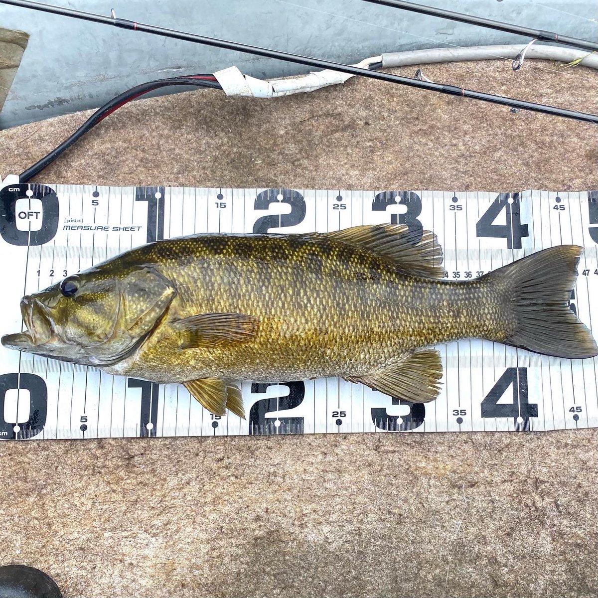 バス釣り sddefault.jpg