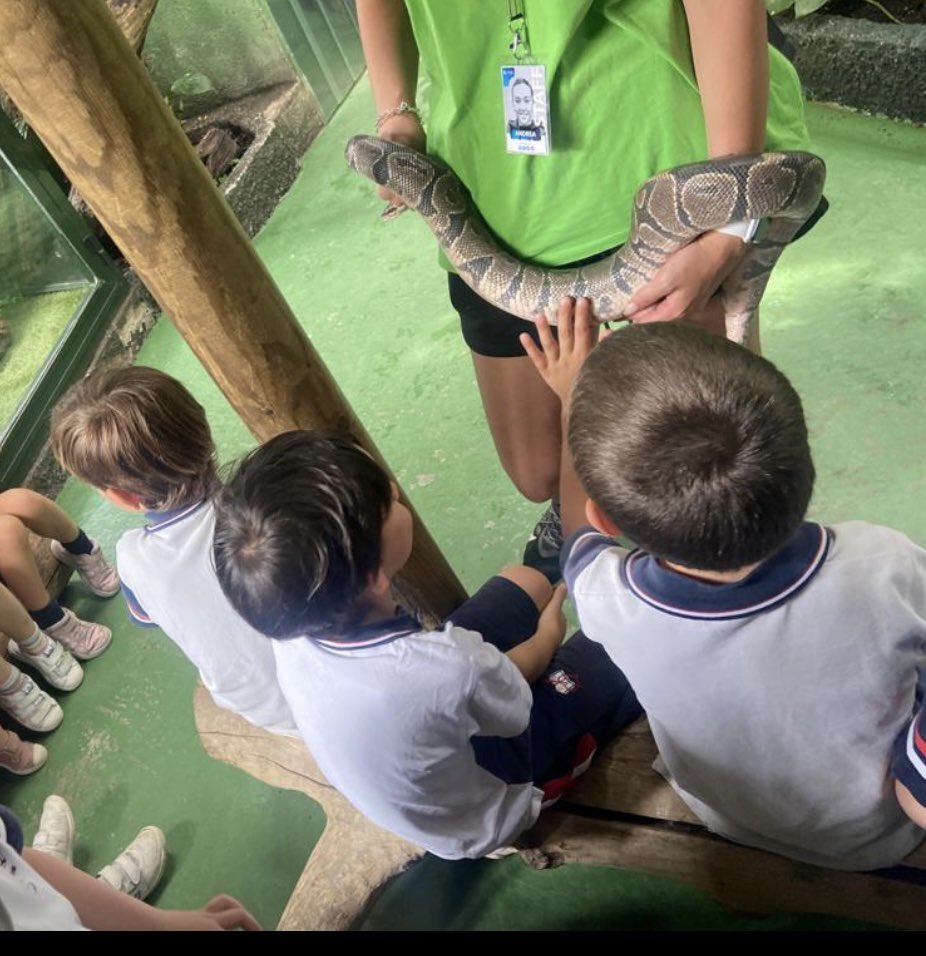 CSAinfantil tweet media