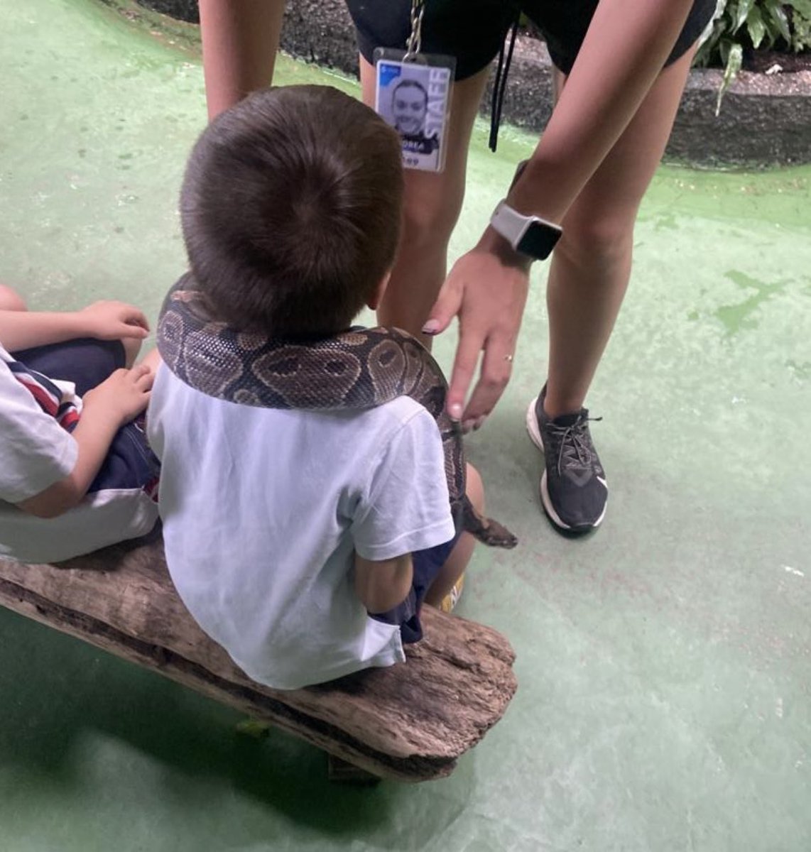 CSAinfantil tweet media