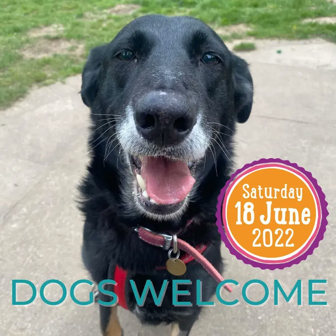 YES - DOGS ARE WELCOME 💙

Happy to announce that providing they have had their vaccinations, dogs are welcome to enjoy all of our One Fun Day!

Why not enter them into the Dog Show, taking place at 3pm? buff.ly/3MxtPE6