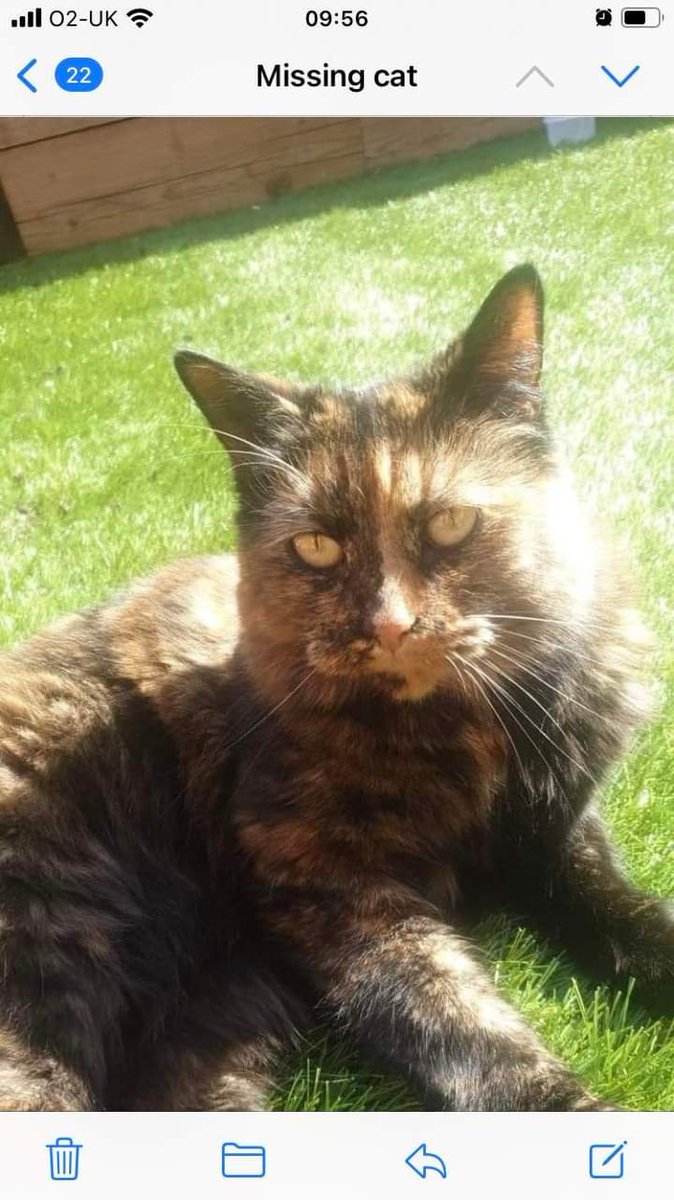 JohnDaffern2's tweet photo. #Missing cat Dolly
She is very timid and has been missing for 2 weeks from the st Barbara Road area of #Handsacre #WS15 area.
Please share
https://t.co/vqd5IjXnb4 https://t.co/xlJH5WuPui