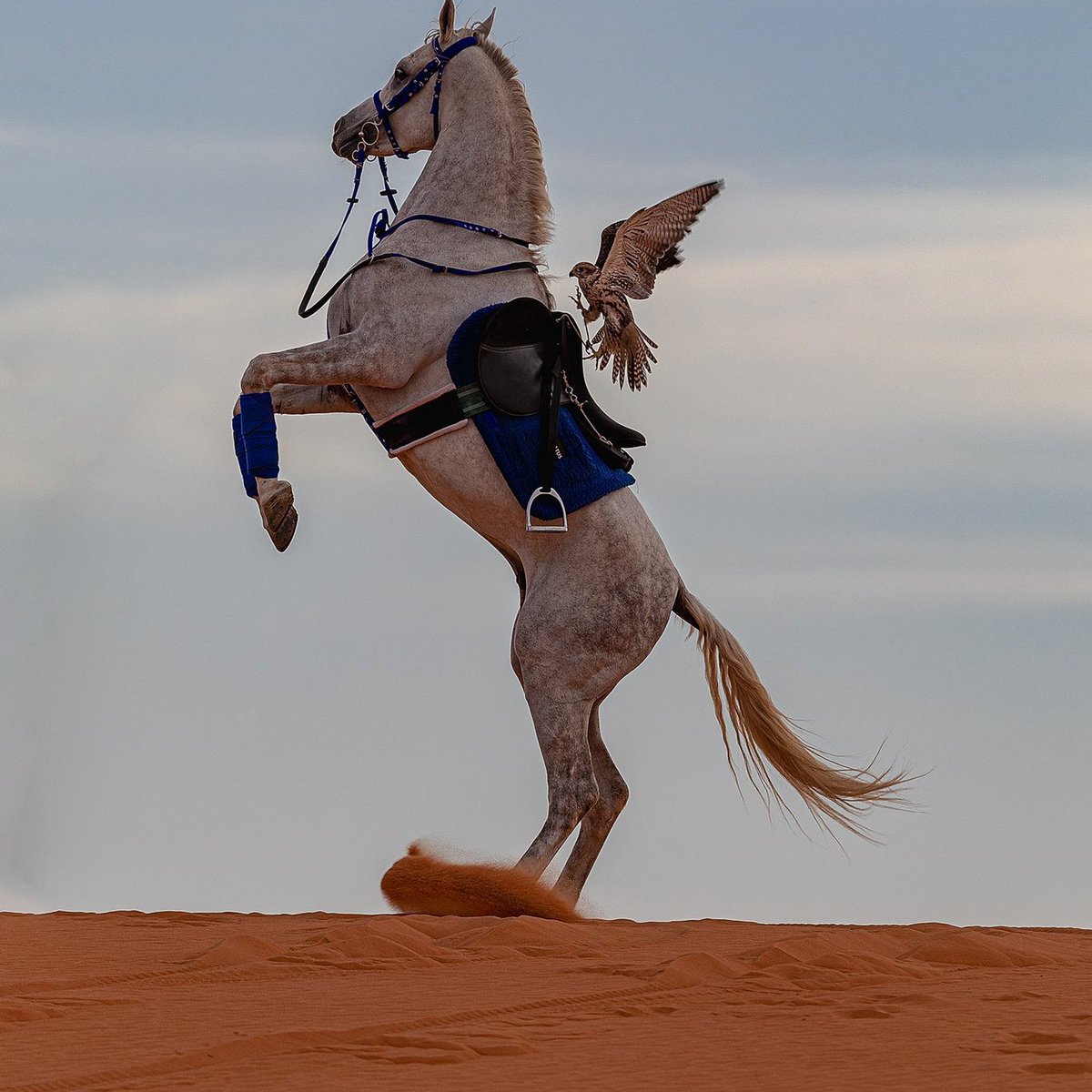 #صورة_ملف_شخصي_جديدة