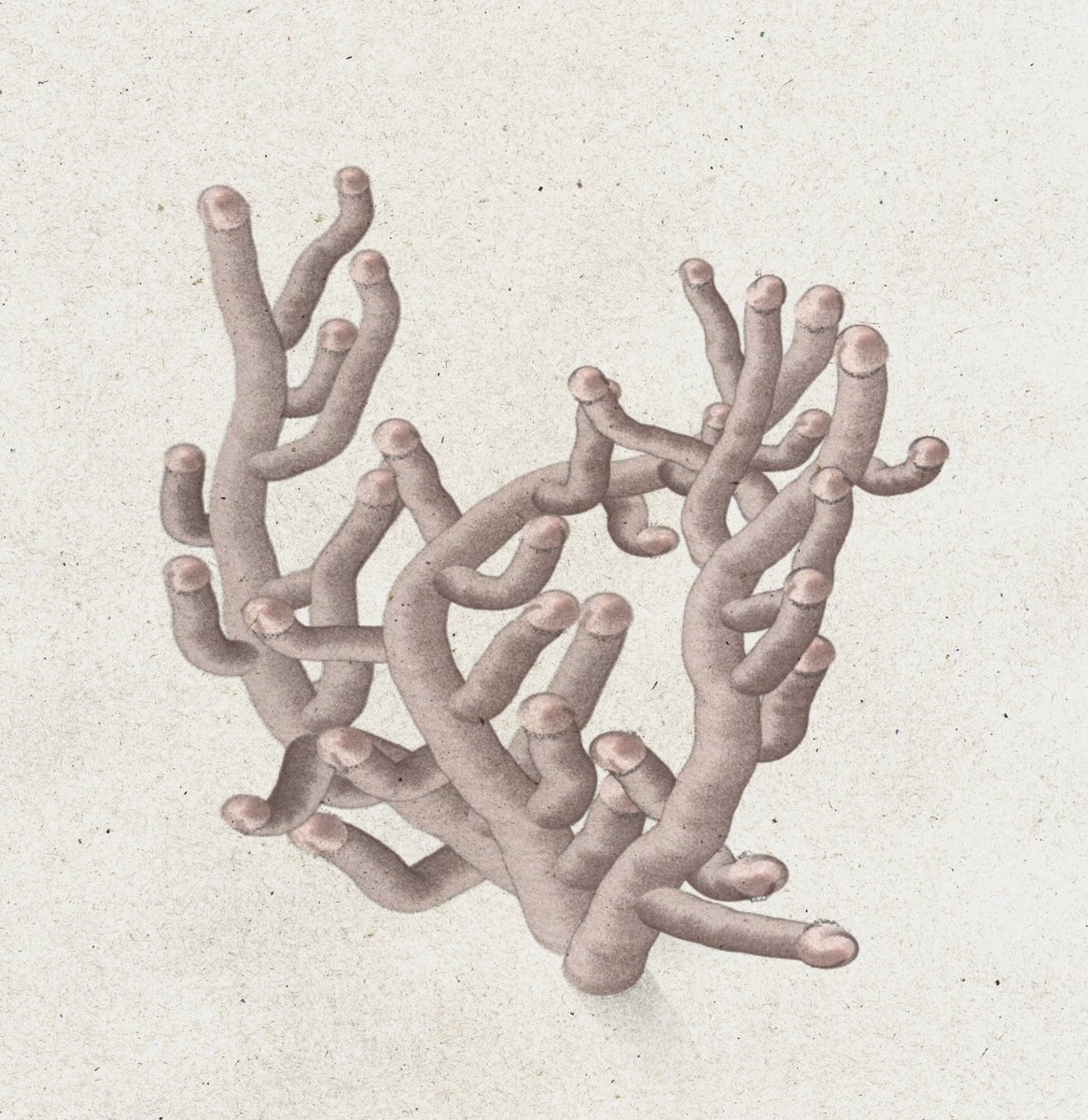 eziraros's tweet photo. I'll tell my mom I'm drawing coral if she asks #wip #fxhash #shapestudy https://t.co/MEhmL4hqrs