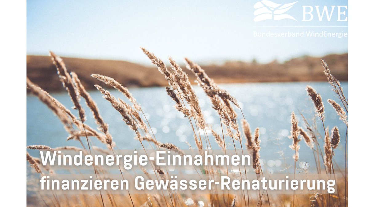 Mit der Finanzierung z.B. von Gewässer-Renaturierungen trägt die #Windenergie zum #Umweltschutz in den Standortgemeinden bei.

Zur #WochederUmwelt klären wir auf, wie die Windenergie unsere Natur und Artenvielfalt schützt.