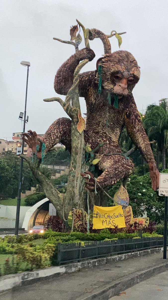 sergiomoraga's tweet image. Qué onda el Mono del Túnel? Le pusieron un cartel que dice #NiUnCaboSueltoMás  #Guayaquil #Ecuador