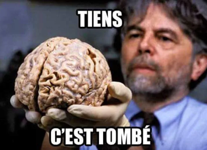 Super_SJW's tweet photo. @jr_imbeault @humaineVSmonde @JulieFeelyz Quant à apprendre à parler, ouvrir un dico et un Bescherelle ça ne te ferait pas de mal gamin. https://t.co/AkWwmGA574
