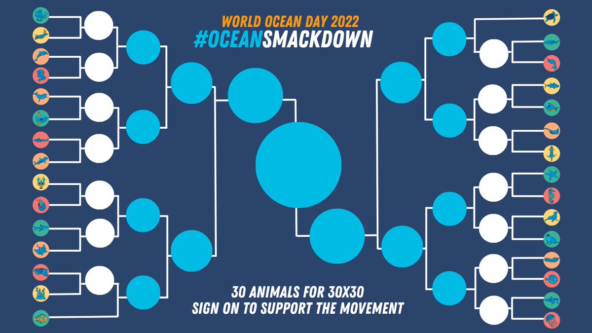 Trashy Turtlez NFT (@trashyturtlez) on Twitter photo A fight has broken out in the ocean world! A #oceansmackdown hosted by <a href="/WorldOceansDay/">World Ocean Day</a> is happening and we need your HELP!
Our turtle is showing down against a dolphin 👿 and we need you to back him!
VOTE HERE 👇
docs.google.com/forms/d/e/1FAI…
#nftcommunity #nftdrop #seaturtleweek A fight has broken out in the ocean world! A #oceansmackdown hosted by <a href="/WorldOceansDay/">World Ocean Day</a> is happening and we need your HELP!
Our turtle is showing down against a dolphin 👿 and we need you to back him!
VOTE HERE 👇
docs.google.com/forms/d/e/1FAI…
#nftcommunity #nftdrop #seaturtleweek