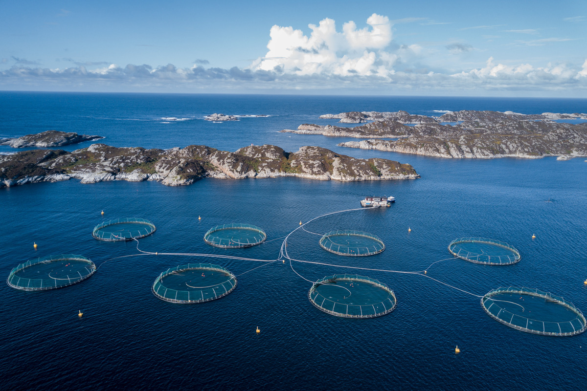 CDNaquaculture's tweet photo. Canada’s seafood farmers make their living from the oceans and waters of this beautiful country – we are committed to their sustainability and protection. #WorldOceanDay #CDNOceans https://t.co/VQk8lkJVsJ