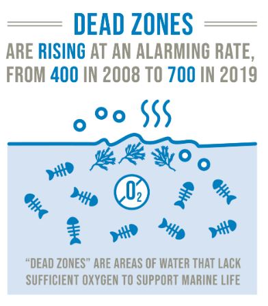 TowardsINMS's tweet image. 🐟The ocean and the ecosystem services it provides are threatened. 🚩Harmful algal blooms (HABs) caused by nutrient (#nitrogen #phosphorus) enriched runoff are especially concerning. 🏴‍☠️HAB can create #deadzones.

#WorldOceansDay #HalveNitrogenWaste

Study: bit.ly/3NYVQF1