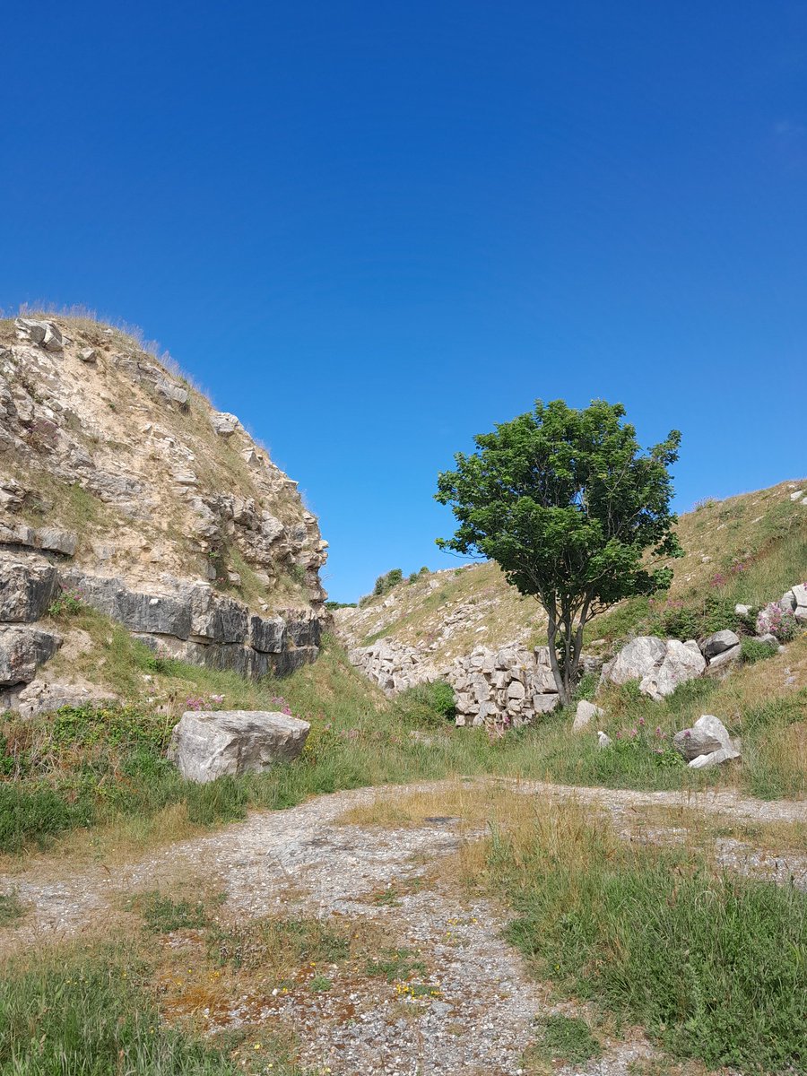 asemedo's tweet image. Walk the talk
#SlowMemory