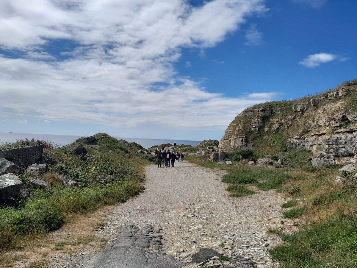 asemedo's tweet image. Walk the talk
#SlowMemory