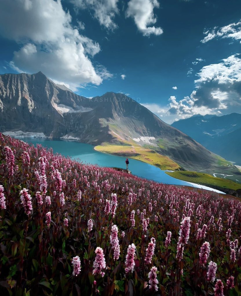 TravelBPakistan's tweet photo. Ratti Gali Lake, Azad Kashmir

Photos by @kashifjaved01 https://t.co/dJnPSnhPWx