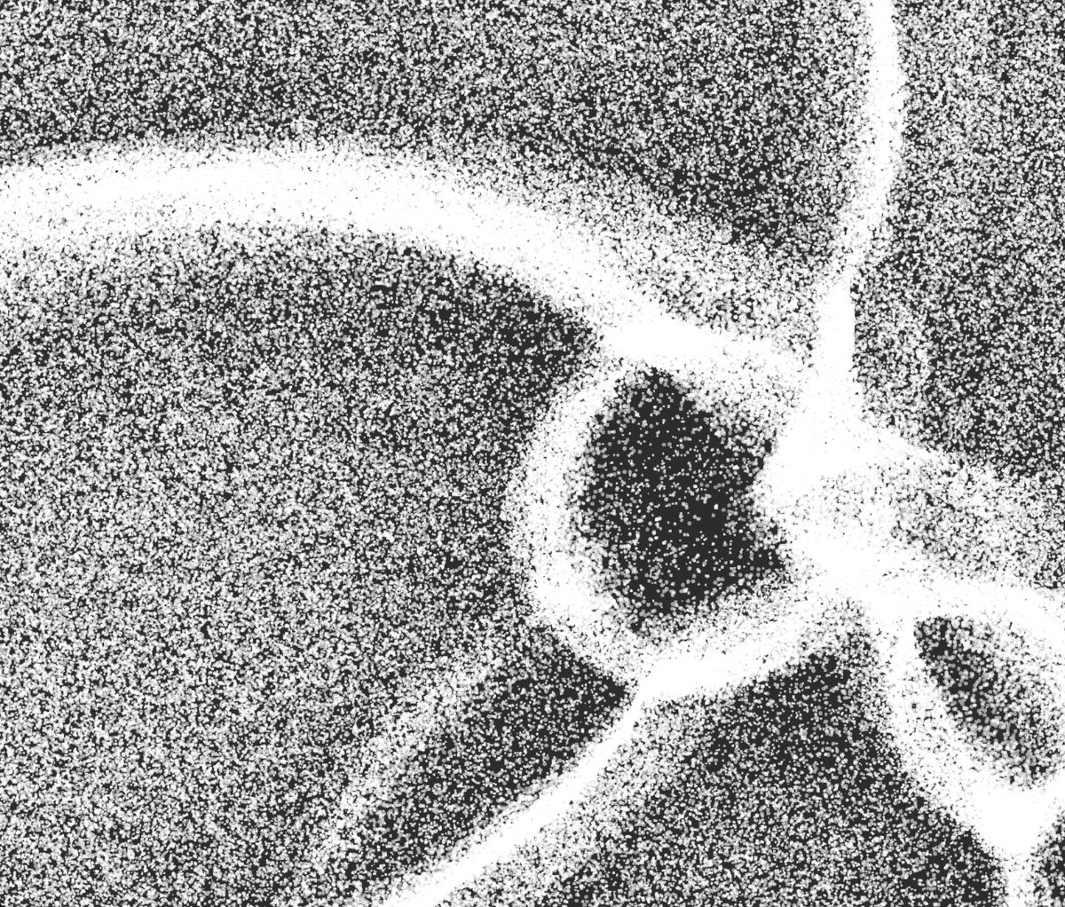 Montreal Friend Scale is a series of audiovisual artworks we had the privilege of creating with and for <a href="/amontobin/">amon tobin</a>.

An edition of 500, they are released today as part of the 
<a href="/artblocks_io/">Art Blocks</a> Curated Collection.

Their auction opens at 1700 UTC.

artblocks.io/project/320