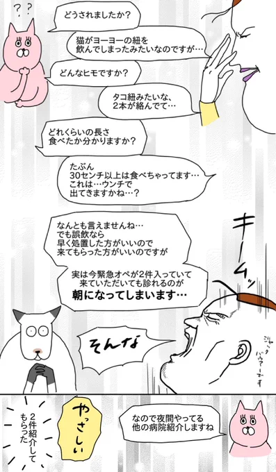 ジョルノ事件③
～夜間診療の動物病院～ 