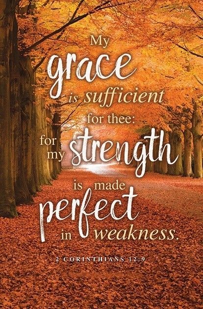 ministerricky1's tweet photo. Almighty God we are here #BecauseYourGrace has been:

1) sufficient every day

2) renewed every day

Please help us #BelieveAndObey You &amp; please #ProvideForUs for days ahead as You provided for 40 years in the the wilderness

In #JesusChrist's AllPowerful Name

TY
#EuropaAfricaUS https://t.co/rmzj6W3eRG