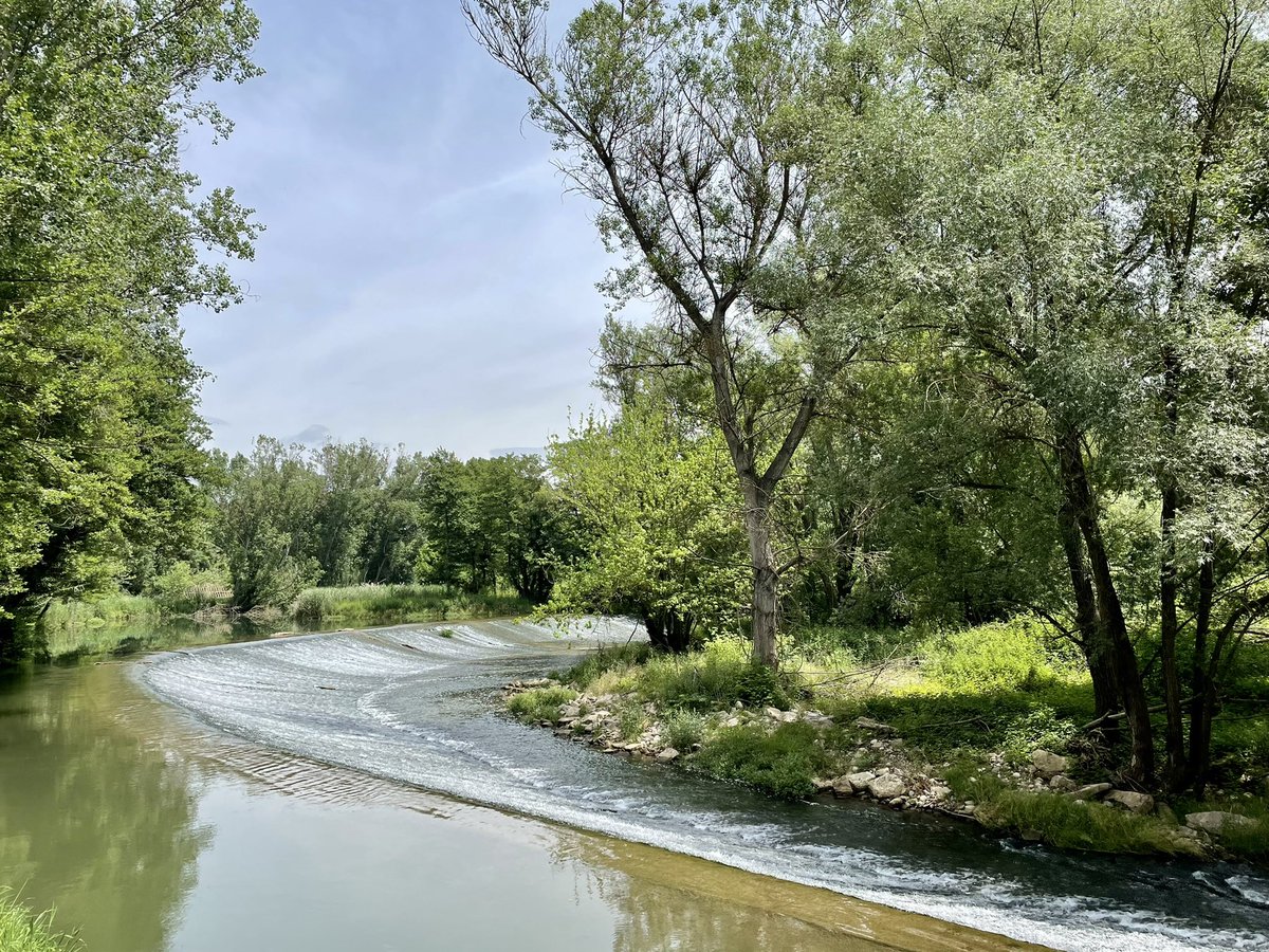 laiamuse's tweet photo. Quan tens una visita amb persones del territori i podem gaudir d’explicar algunes peculiaritats de la Sèquia de Manresa #parcdelasequia @bagesturisme @TurismeDIBA #programaPIT #bages #balsareny @AjBalsareny #resclosadelsmanresans https://t.co/aPqjOMPFGb