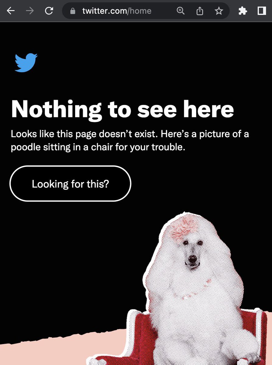 Warren Gavin tweet media