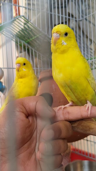 Apaaarnaaa's tweet image. My kind of love... 
Mere haat mein tera haat hoo. ..