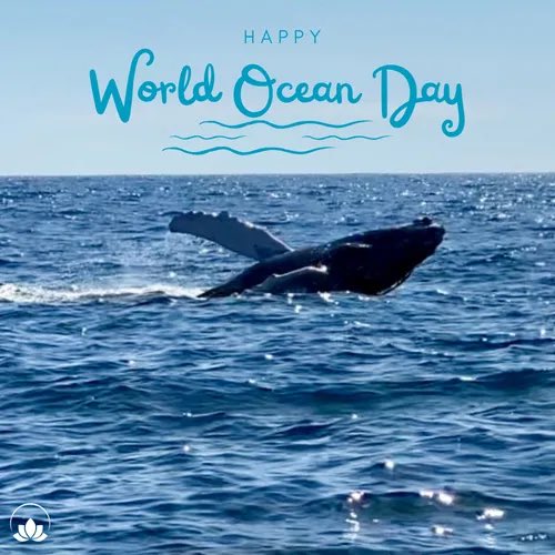 One Ocean,  One Climate,  One Future – Together  Join together on this World Ocean Day to help collaborate for a better future.  #worldoceanday2022 #poicabo