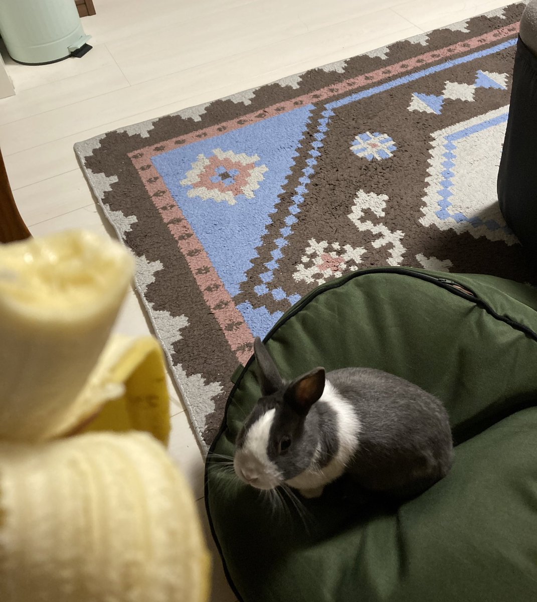 bonbon_724's tweet photo. 狙われてます🍌 https://t.co/HMcKw0shIt
