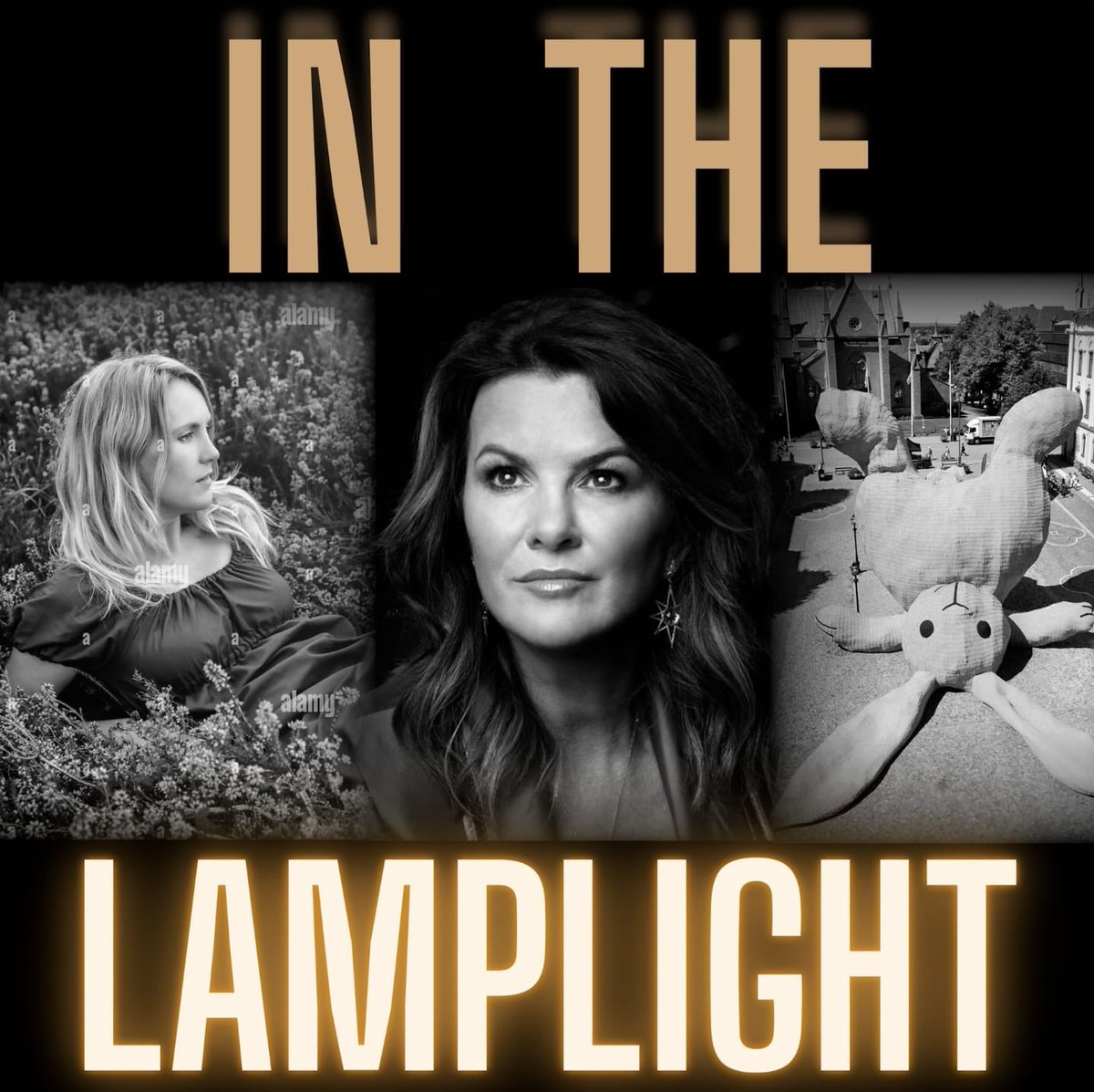 In The Lamplight tweet media