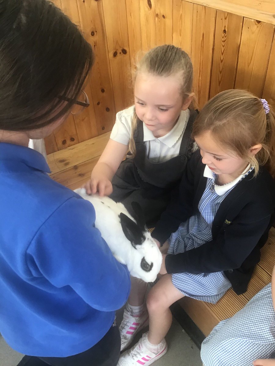 Reception pupils enjoyed a day at the farm.  They demonstrated care when handling small animals.  They also discovered dinosaurs hidden in the woods!