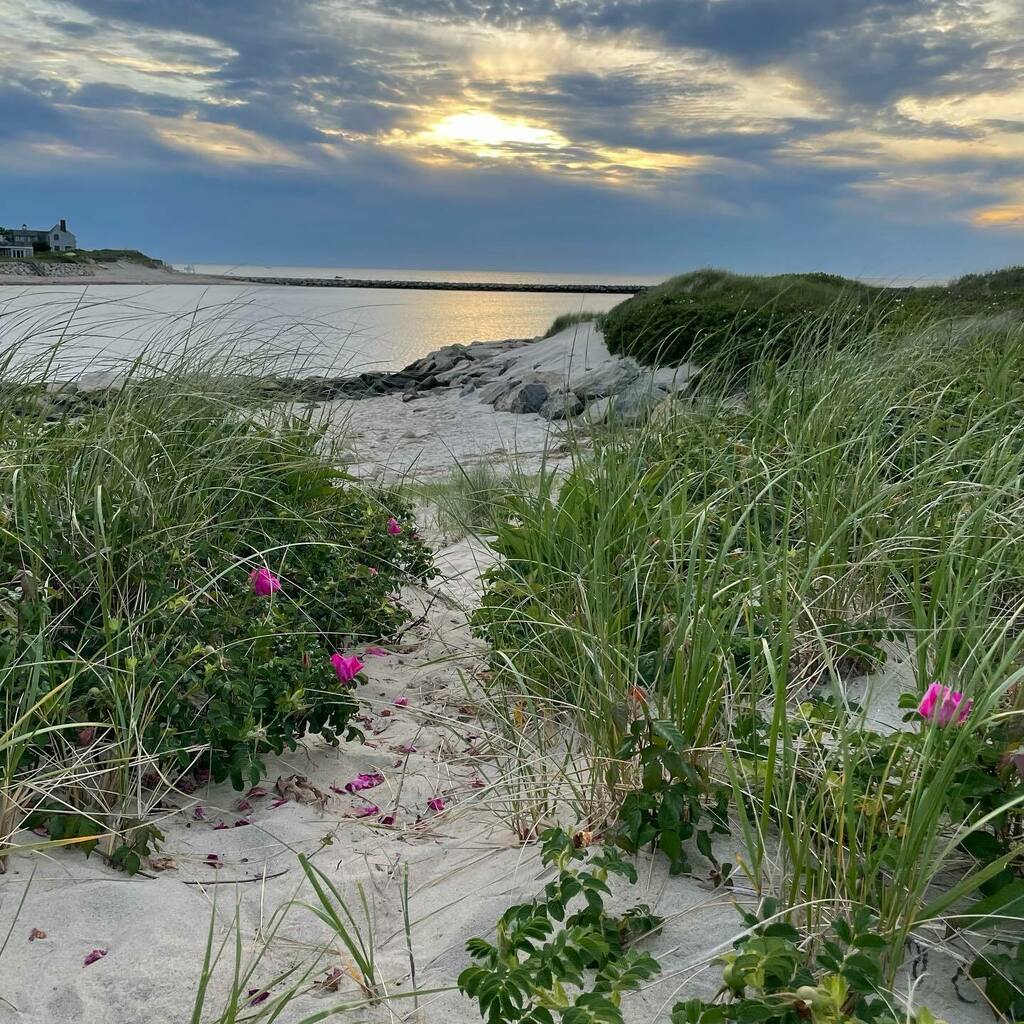 Cold Storage Beach has many scenic trails to the Sesuit River. #beachtrail #sceniclocations #capecod #artchallenge instagr.am/p/CeiyAkeuFXA/