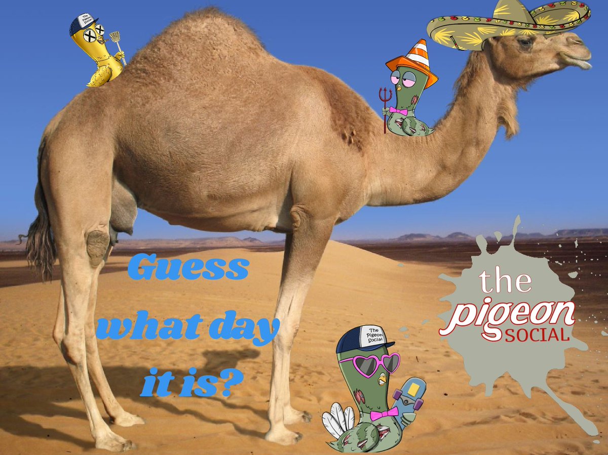 Day #18 <a href="/elonmusk/">Elon Musk</a> happy hump day. #tootsiepopmusk