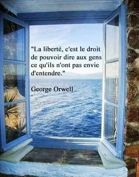 Manon  Bouchard (@mannbouc) on Twitter photo 