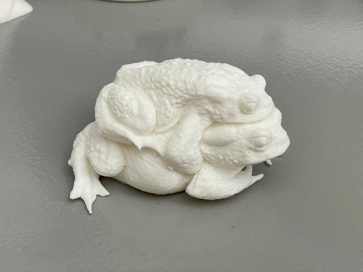 Marshmail's tweet photo. I just 3D printed my scan of common toads in amplexus and now I want to collect models of all British wildlife. Is that even a thing? I can’t be the first person to do this surely. #amphibians https://t.co/LhLgWPNlsg
