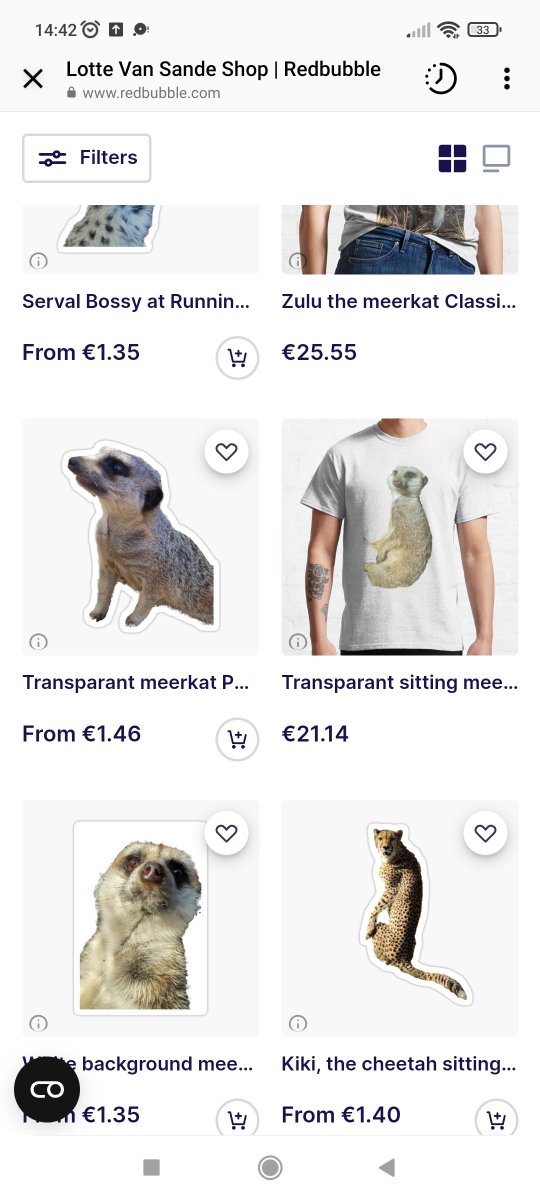 Captain_Lotte_'s tweet photo. I am raising money for Running Wild Cheetah conservation by selling designs on Redbubble. My shop is : https://t.co/ipU5DPmWIa

I am still adding designs 🥰 
Even getting a small sticker can help so much! 

#raisingmoney #charity #conservation #likeandshare https://t.co/EcVUxIb9Pa