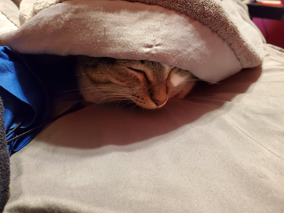 kibbenfreya's tweet photo. thro baek to a güd honke shoo https://t.co/COBTlLEpEd