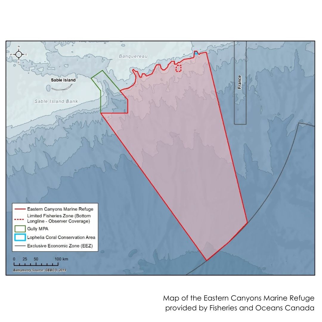 Ecology Action Centre (EAC) tweet media