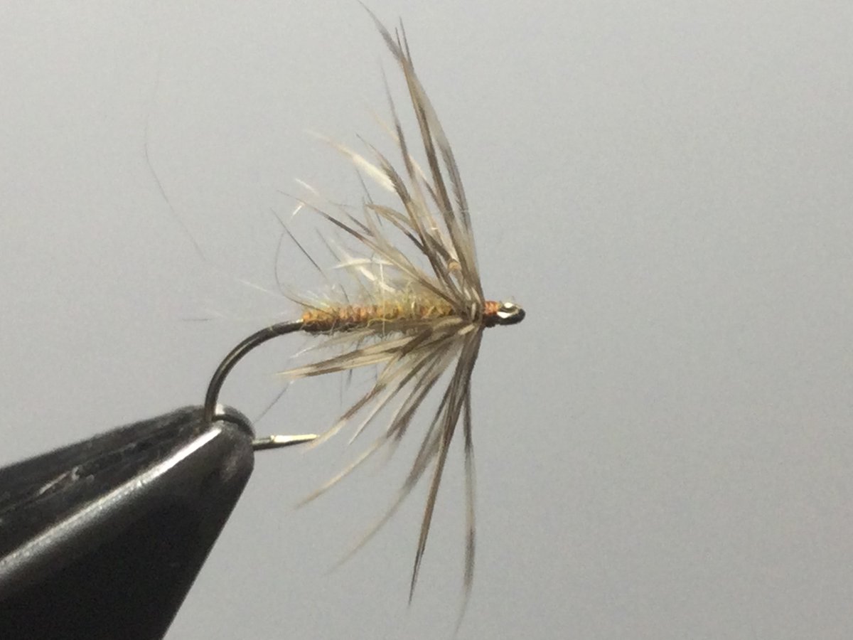 BradfordCityAA's tweet photo. Everything you ever wanted to know about north country spider fishing led by, well, @Spider_fishing of course!
Another #FlyFishing sub-committee initiative on July 3rd, free to our members.
Check out #FlySec @baileyffmuk beautiful ties below
https://t.co/IrQr8gkgMU https://t.co/Udlo11Lpql